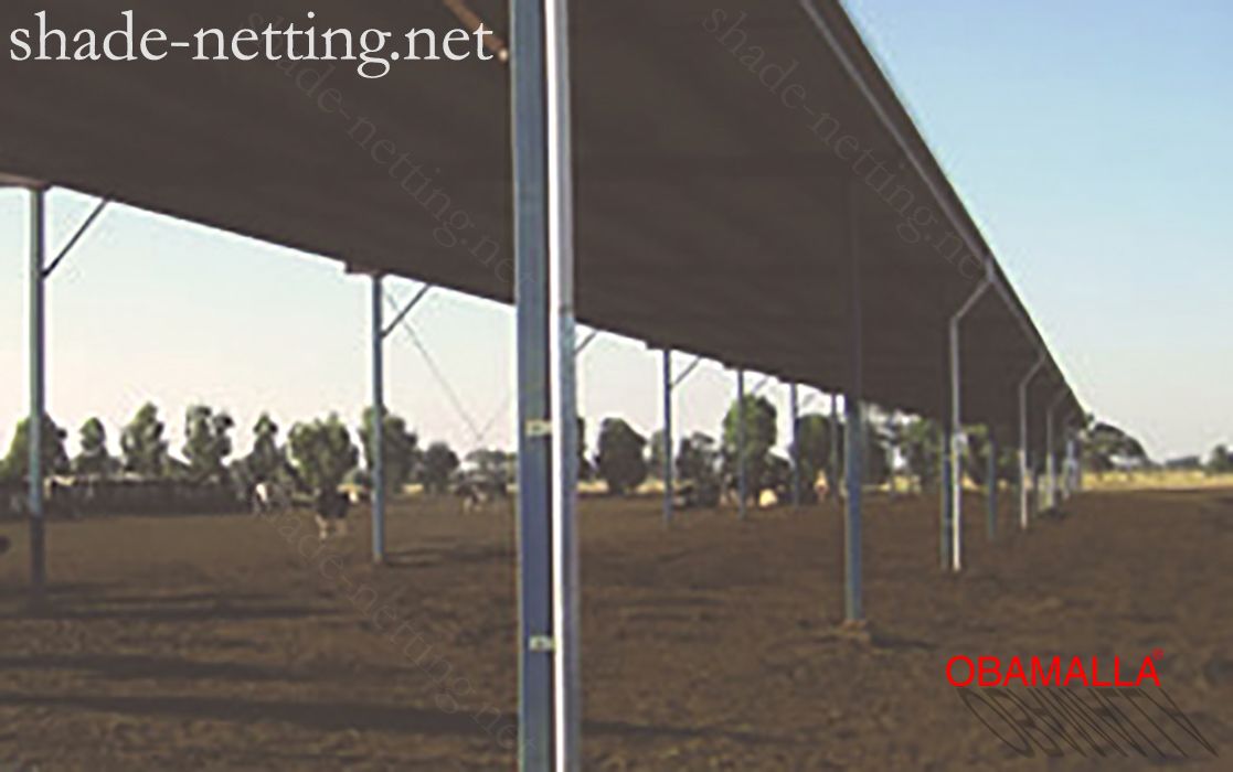 Shade cloth installed on the field for protection of cars and cattle.