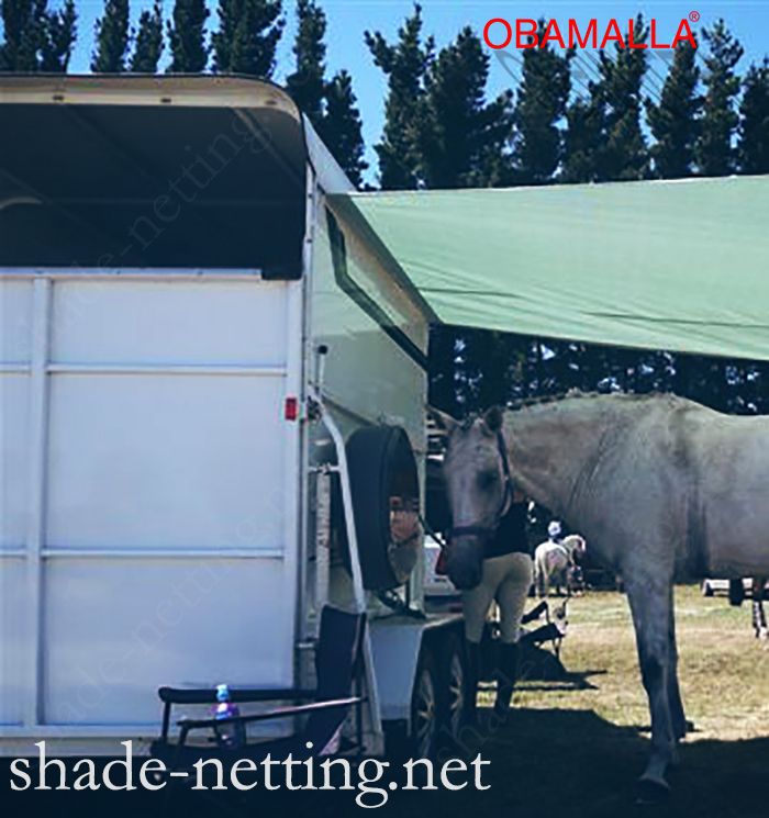 horse under to the shade cloth obamalla.