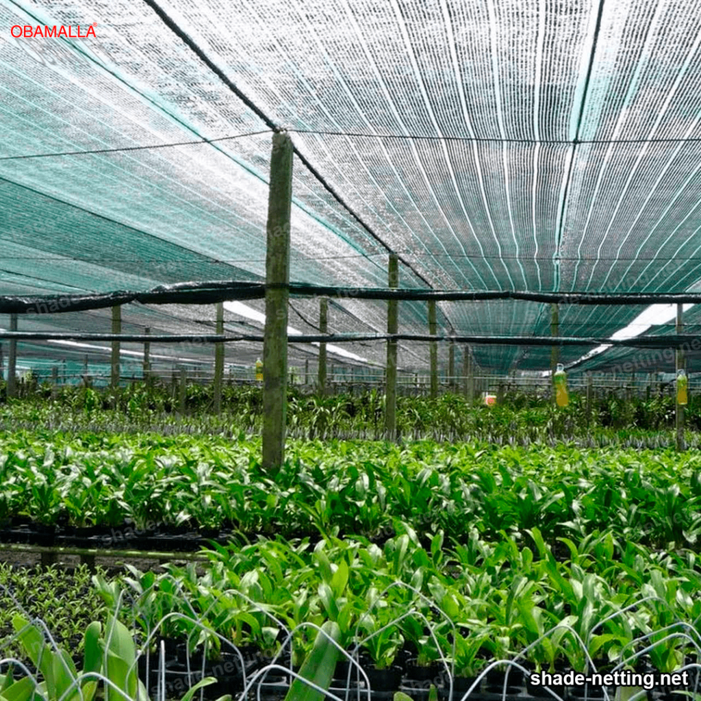 shade netting installed in a field