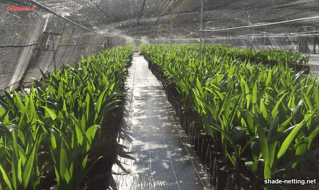 protect your crops with shade mesh