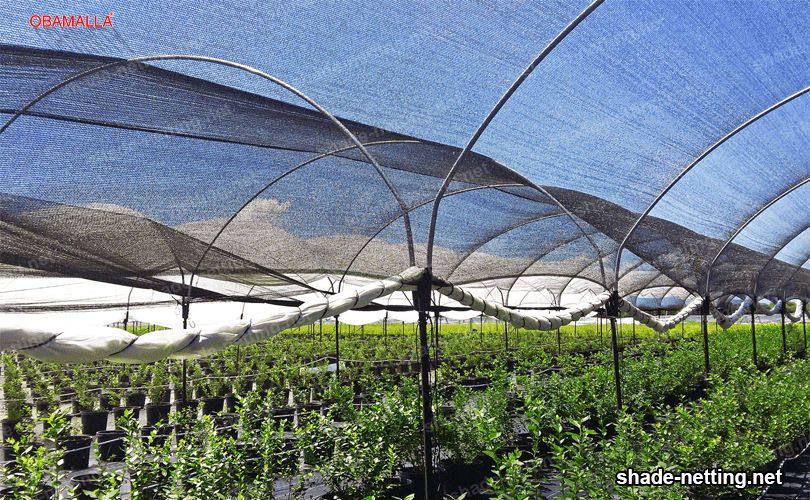 shade screen in a greenhouse